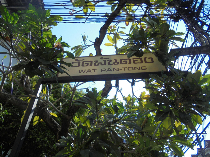 Others 5, Chez Pom, Muang Chiang Mai