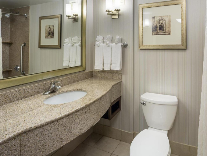 Bathroom 4, Hilton Garden Inn Hampton Coliseum Central, Hampton