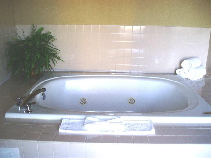 Bathroom 4, Hampton Inn Elkton, Cecil