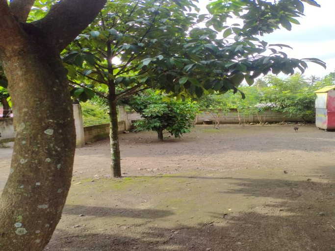Efol Homestay Desa Wisata Hijau Bilebante, Lombok
