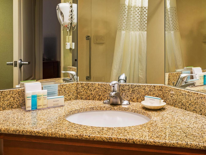 Bathroom 4, Hampton Inn & Suites Greenville/Spartanburg I-85, Spartanburg