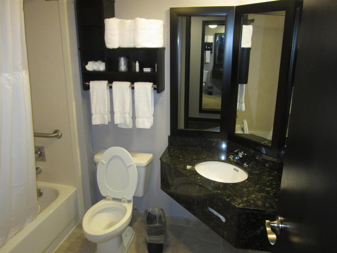 Bathroom 4, Comfort Inn & Suites Carrollton, Carroll