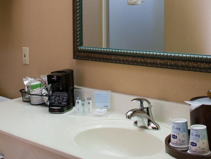 Bathroom 3, Hampton Inn Mt. Pleasant, Isabella