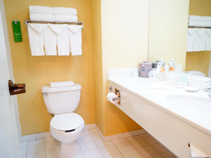Bathroom 4, Hampton Inn By Hilton Monterrey-Airport, Apodaca