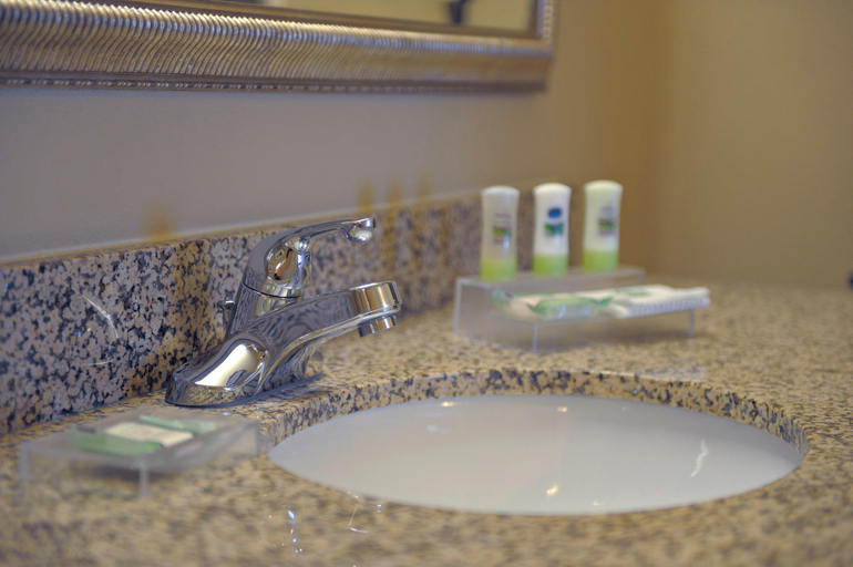 Bathroom 5, Spark by Hilton Washington Meadowlands Blvd, Washington