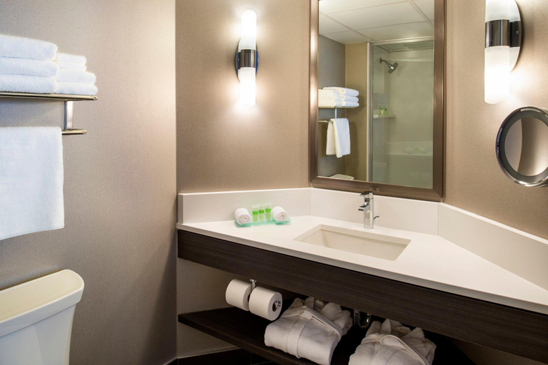 Bathroom 4, Saskatoon Inn, Division No. 11