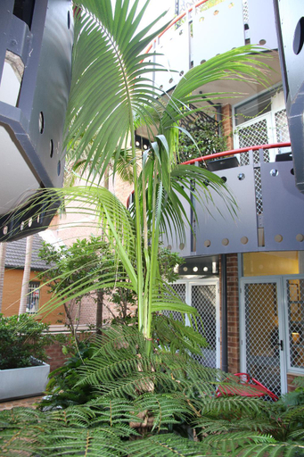 Exterior & Views 1, Mariners Court Hotel, Sydney