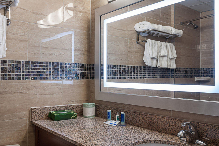 Bathroom, Rodeway Inn Meadowlands, Secaucus