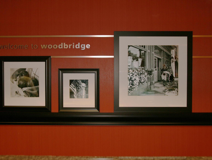 Public Area 2, Hampton Inn Potomac Mills/Woodbridge, Prince William
