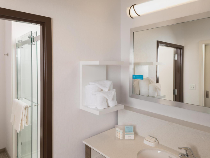 Bathroom 4, Hampton Inn & Suites Asheville Biltmore Village, Buncombe