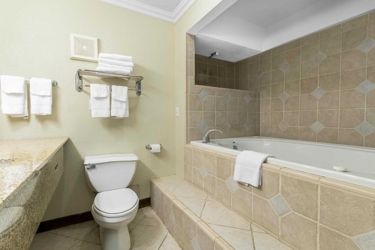 Bathroom 4, Quality Inn & Suites Horse Cave - Cave City, Hart