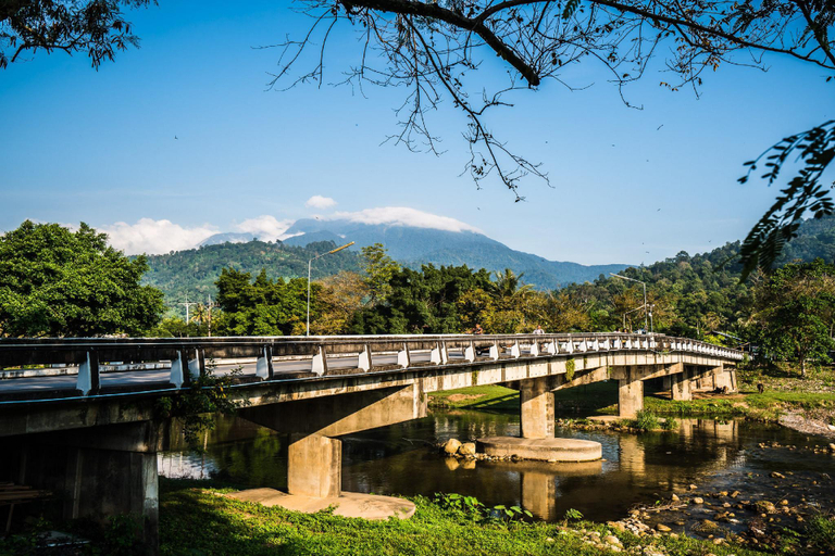 Others 5, Sabai Palace, Muang Nakhon Si Thammarat