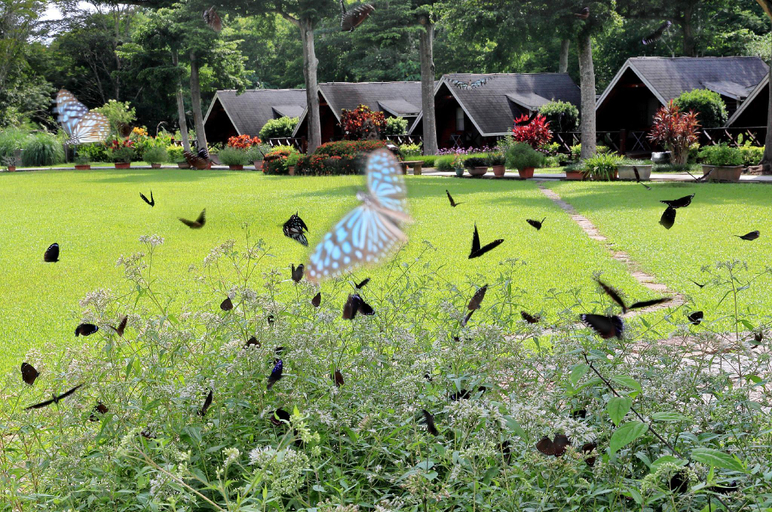 Others 5, Atunas Holiday Country(嘉義大埔歐都納山野渡假村), Chiayi County