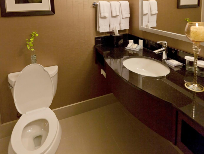 Bathroom 4, Hilton Garden Inn Toronto/Brampton, Peel