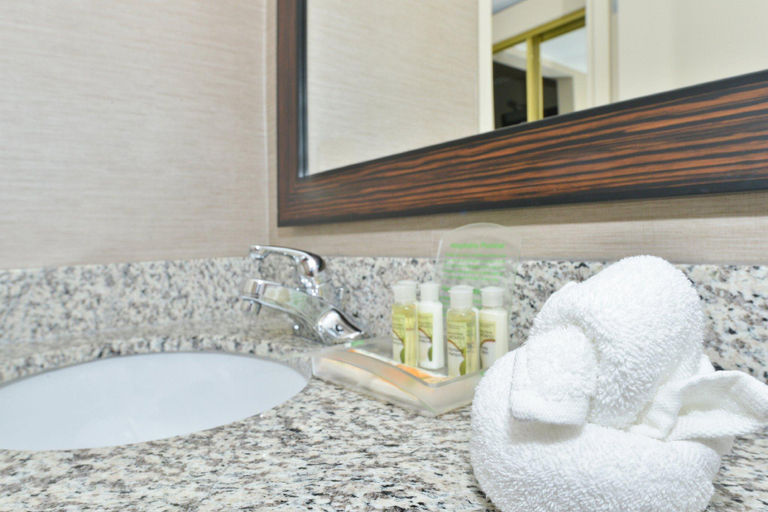 Bathroom 4, Raleigh North, Wake