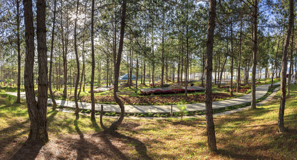 Exterior & Views 2, Rung La Kim Resort, Đà Lạt
