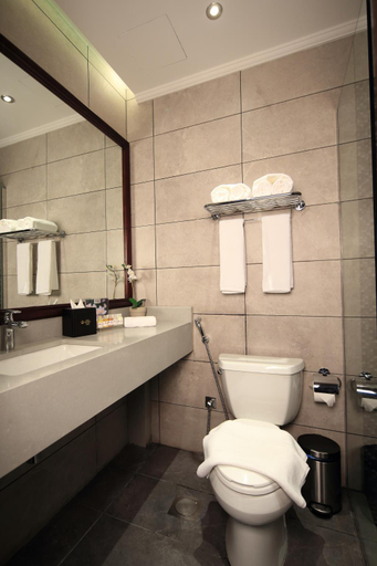 Bathroom 5, Best Plus Aurora Hotel, Riyadh