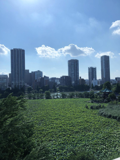 Others 5, Outlet Hotel Ueno Ekimae, Taitō