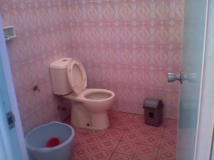 Bathroom 5, Hotel Nadia Bromo, Probolinggo