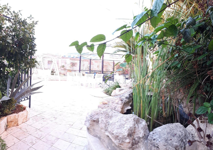 Others 5, Hotel Marom Haifa