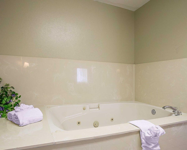 Bathroom 4, Quality Inn at Fort Gordon, Columbia