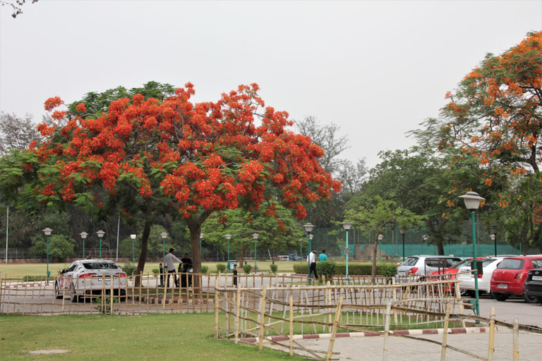 Others 2, YMCA Greens, Gautam Buddha Nagar