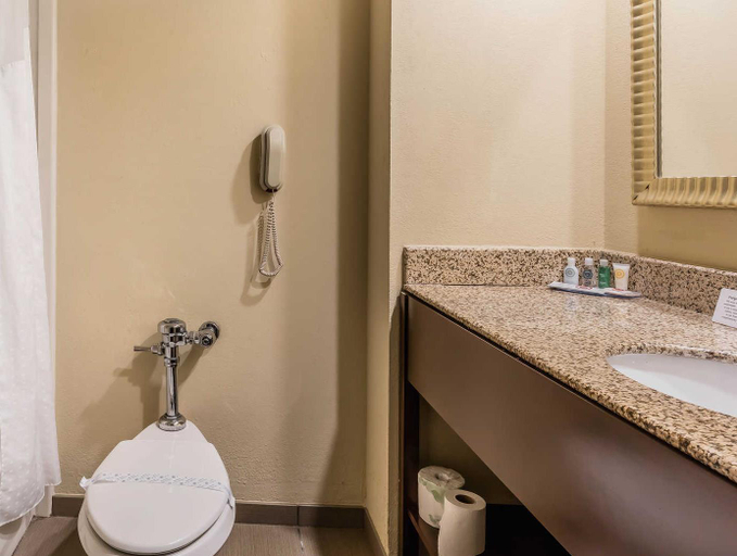 Bathroom 4, Comfort Suites Oxford I-20 exit 188, Calhoun