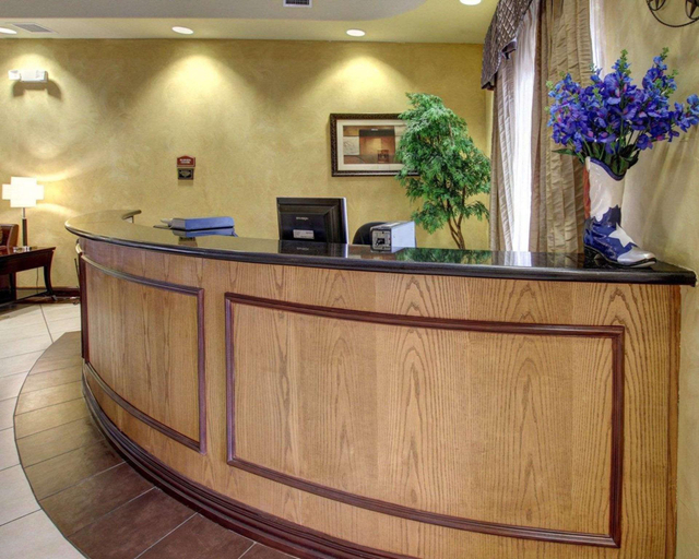 Public Area 2, Comfort Inn & Suites Alvarado, Johnson