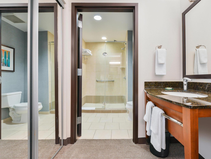 Bathroom 4, Hyatt Place Chesapeake Greenbrier, Chesapeake