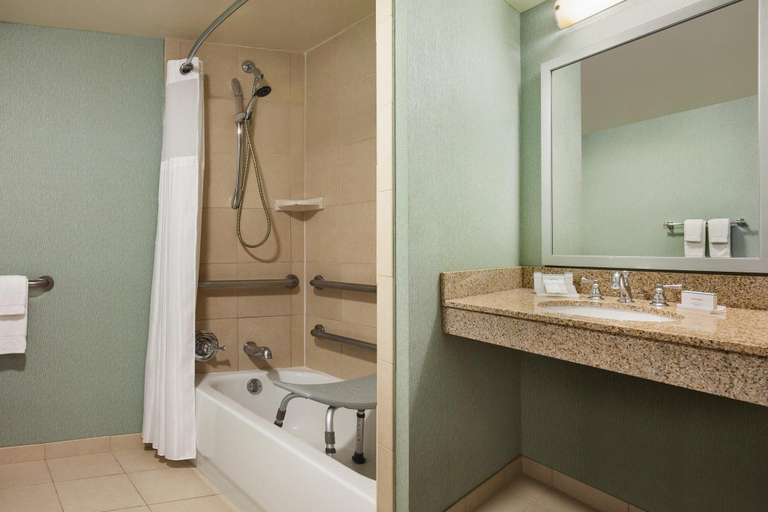 Bathroom 4, Hilton Garden Inn Atlanta Downtown, Atlanta
