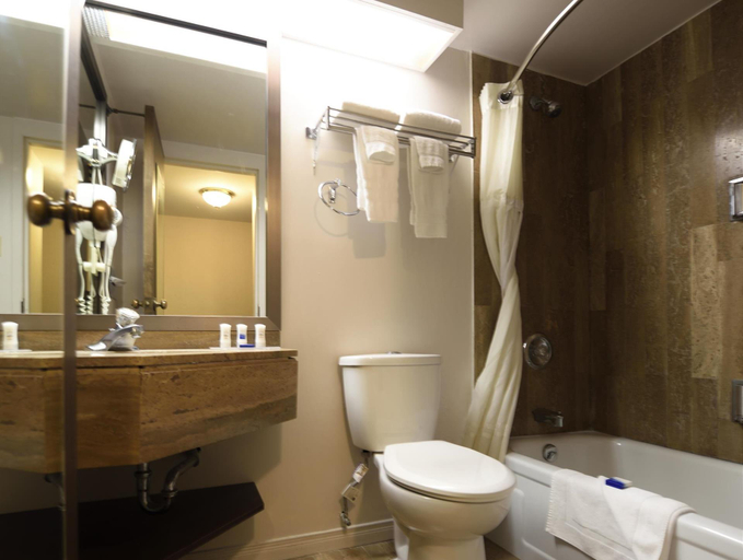 Bathroom 3, Best Western Downtown Sudbury Centreville, Greater Sudbury