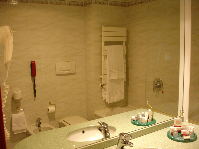 Bathroom 4, Agora Palace, Biella