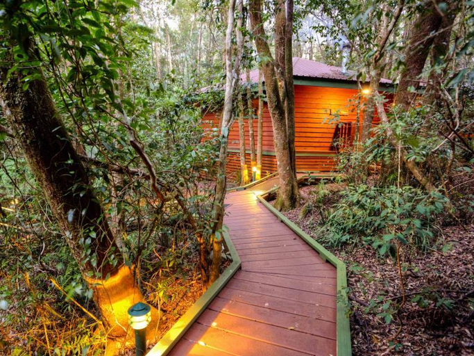 Others 4, The Mouses House Rainforest Retreat, Gold Coast