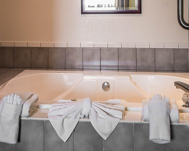 Bathroom 3, Quality Inn & Suites Delaware South, Delaware