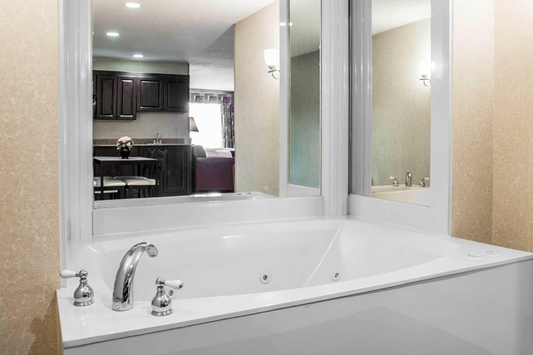 Bathroom 4, Comfort Suites Canton - Detroit, Wayne