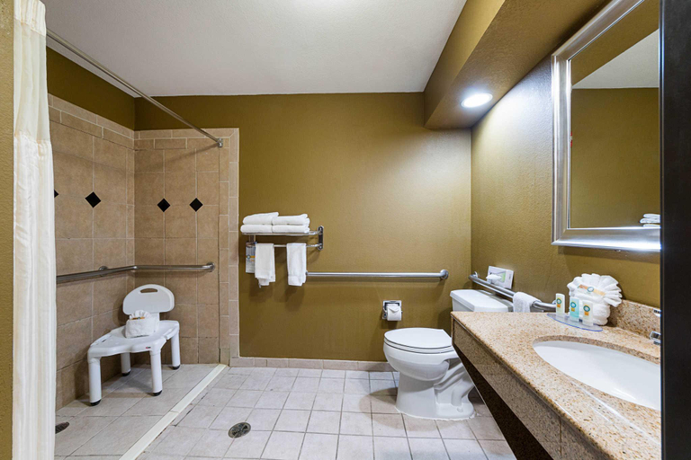 Bathroom, Quality Inn & Suites Buda, Hays