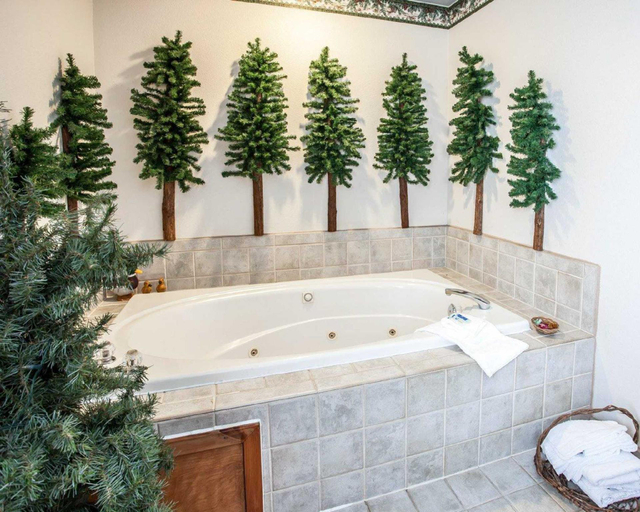 Bathroom, Rodeway Inn & Suites Spokane East, Spokane