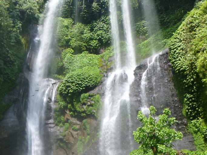 Others 5, 1000 Dream Bungalow & Restaurant, Buleleng