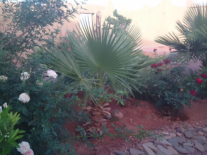 Others 4, Auberge Bassou, Ouarzazate