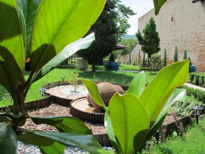 Others 5, Villa Venus Hotel, Deva