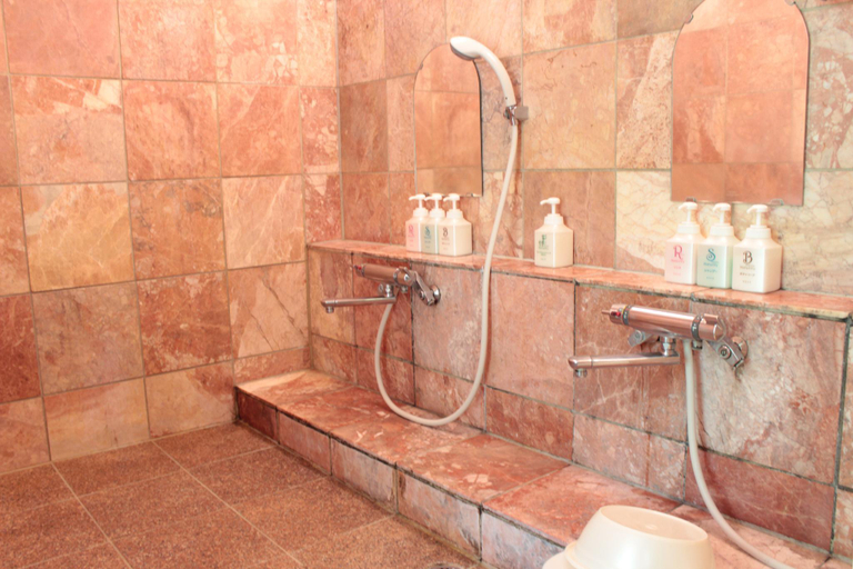 Bathroom 4, Lumiere, Fujikawaguchiko