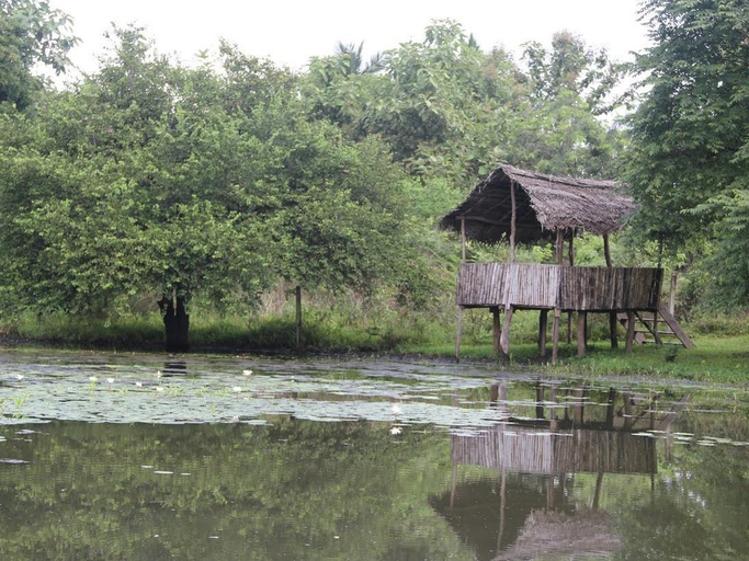 Others 5, Clay Hut Village, Thamankaduwa