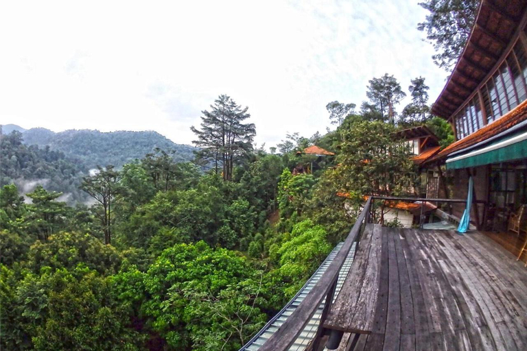 Scenery