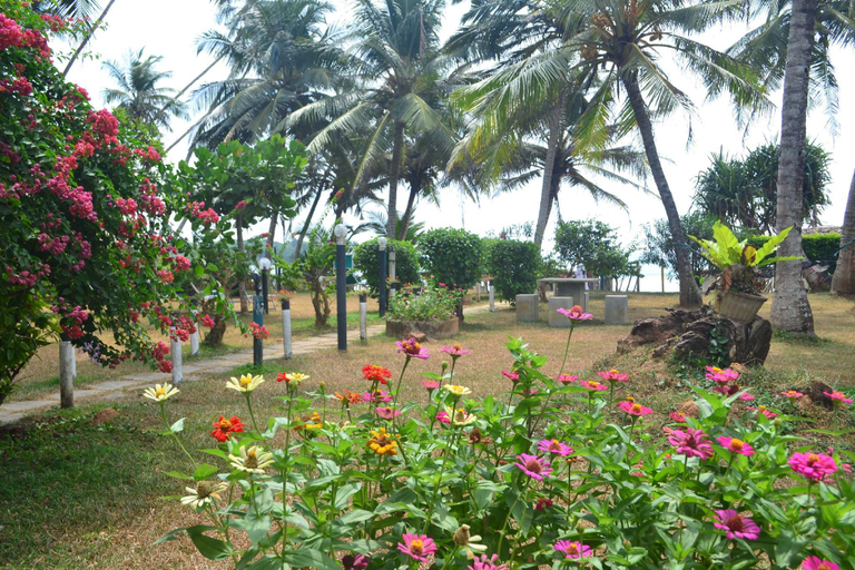Others 4, Villa Jayananda, Dickwella