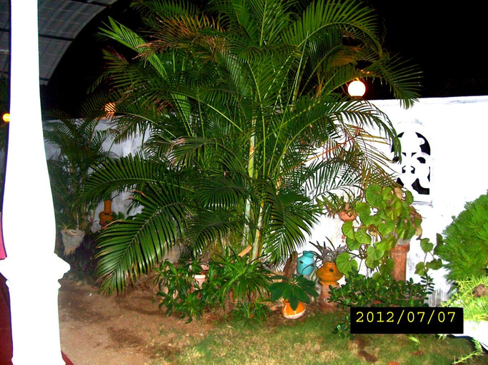 Others 5, Rock Cascade - Home Stay, Thamankaduwa