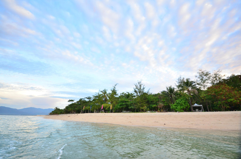 Others 4, Arena Island, Narra