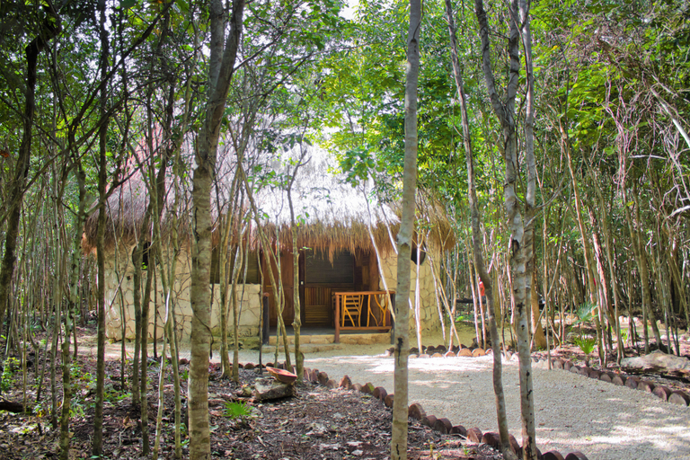 Public Area, Aldea Maya-Ha Cabañas Con Cenotes, Benito Juárez