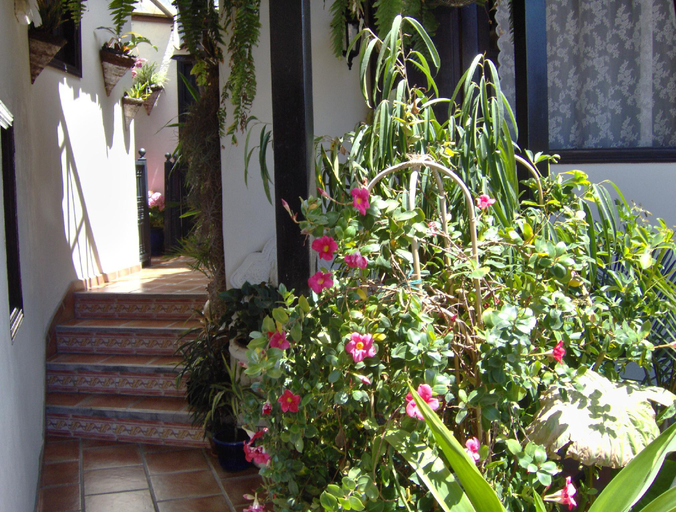 Others 4, Apartment in English style with sea view, Santa Cruz de Tenerife