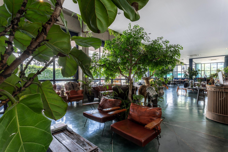 Public Area 2, The Wood, Muang Surin