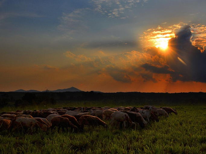 Others 5, UK Farm Agro Resort, Batu Pahat